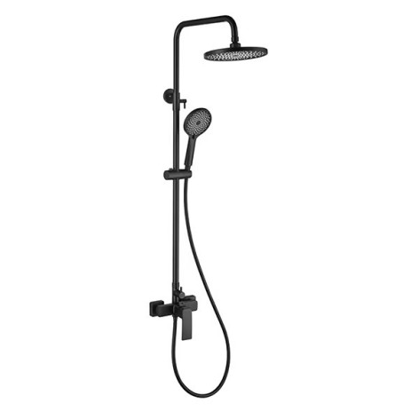 Two Function Surface Mounted Shower