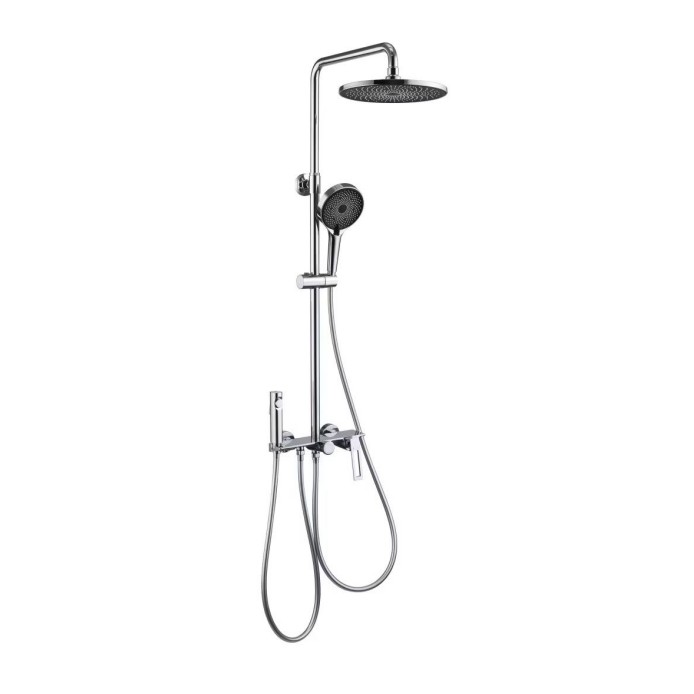 Four Function Surface Mounted Shower