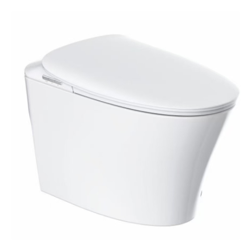 Intelligent Toilet