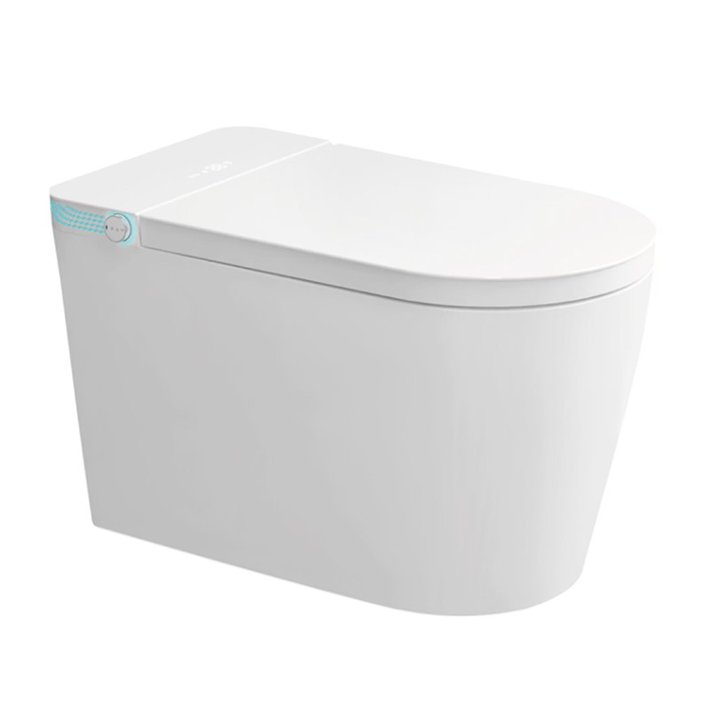 Intelligent Toilet