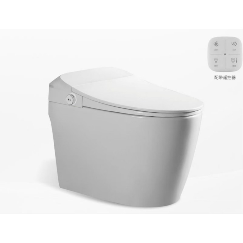 Intelligent Toilet